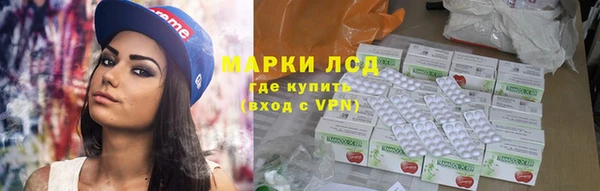 гашик Горняк