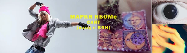 гашик Горняк