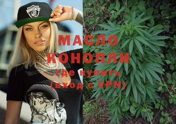 гашик Горняк