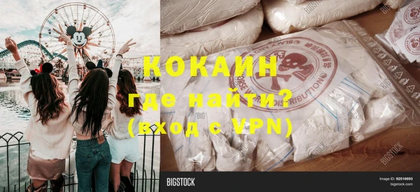 гашик Горняк