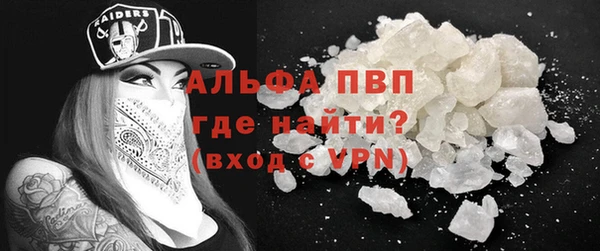 гашик Горняк