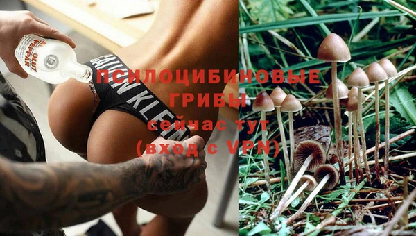 mix Горнозаводск