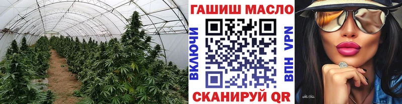 где можно купить   Брюховецкая  Дистиллят ТГК жижа 